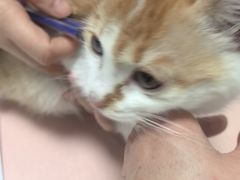 -嘉馨宠物医院·CT影像转诊·心脏科·犬猫全科诊疗中心(下沙大学城院区)