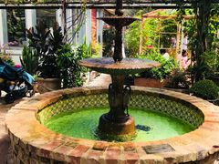 -The Grounds of Alexandria
