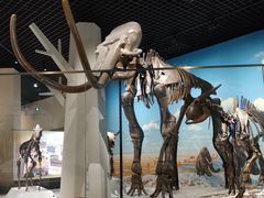 -国家自然博物馆