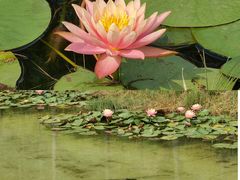 -露天矿生态公园