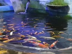 -梦幻海洋王国(吾悦广场张家港店)