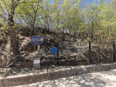 -北京鹫峰国家森林公园