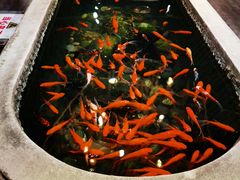 -黄家码头老火锅(解放碑旗舰店)