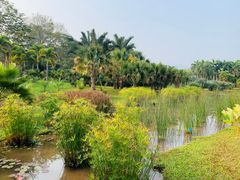 -中国科学院西双版纳热带植物园