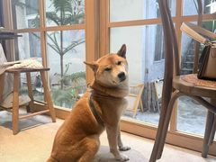 -三目仓咖啡(贤南路店)