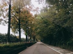 -随意茶庄·地道杭帮农家菜(梅家坞店)
