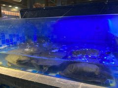 -奢谷·海鲜自助(南海万科店)