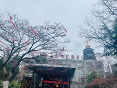 -听松楼·花园酒店·自助餐厅(红梅公园店)