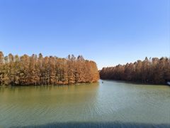 -上海海湾国家森林公园