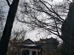 -大阳山国家森林公园