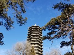 -北京大学赛克勒考古与艺术博物馆