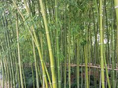 -上海市龙华烈士陵园