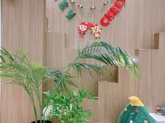 -COLOR PETS 撸猫馆·购猫·猫咖(长风大悦城店)