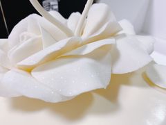 -BLACKSWAN黑天鹅(环球店)