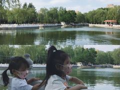 -丰台花园