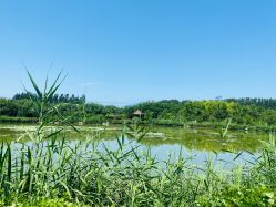 -优沃得自然教育农场·冰雪乐园·生日会·研学