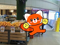 -梦之岛百货(水晶城店)