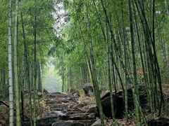 -莫干山风景区