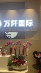点击看大图 -万阡国际专业祛斑·祛痣·祛疤连锁