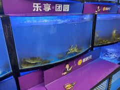 -蟹状元大闸蟹·年货·粽子(成都成华店)
