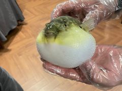 -肆月河豚·新淮扬(金融街店)