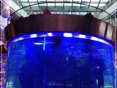 -佛山希尔顿酒店·融誉亚洲美食荟