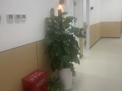 -乐博乐博少儿编程·机器人编程·信息学竞赛(未央校区)