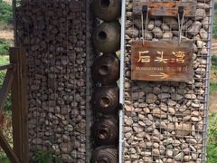 -枸杞岛