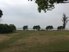 -漕湖湿地公园