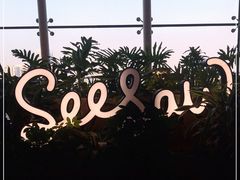 -Seesaw Coffee(朝阳大悦城店)