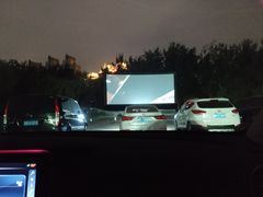 -枫花园汽车电影院(朝阳公园店)