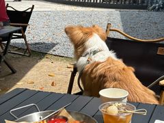 -J Create城市露营咖啡·简餐·宠物(上海动物园店)