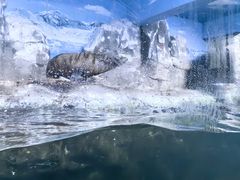 -南昌海洋公园