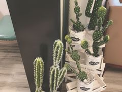 -春风·有糖(崇宁路店)