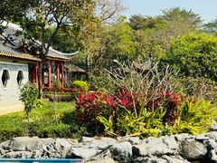 -顺峰山公园