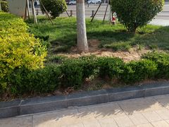 -甜星Star面包生日蛋糕(北坦店)