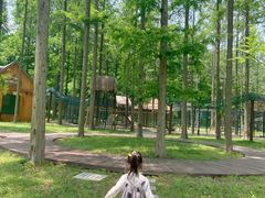 -黄海国家森林公园