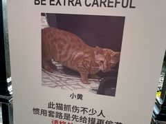 -Chili's Cafe&Bar奇利斯(滨江店)