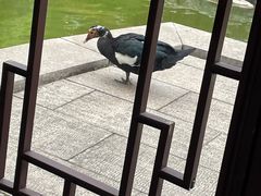 -祝家花園(伯渎港店)
