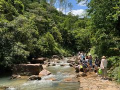 -广州白江湖森林公园