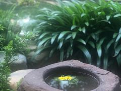 -昆明柏联SPA温泉
