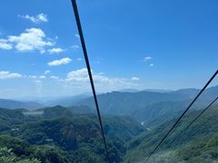 -牛背梁国家森林公园