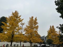-宝光寺