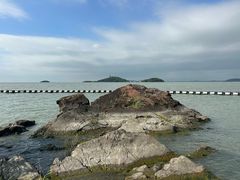 -上海市保健医疗中心