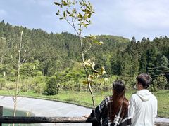-武陵山森林公园