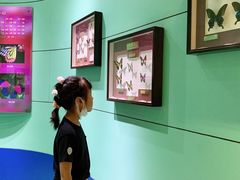 -上海昆虫博物馆