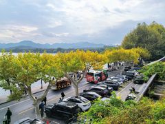 -楼外楼(西湖景区孤山路店)