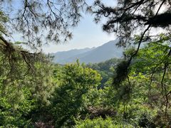 -波尔登森林公园