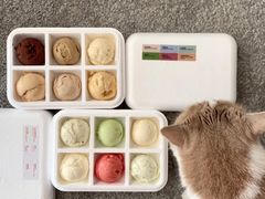 -Dip in Gelato(富民路店)