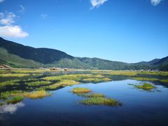-腾冲北海湿地